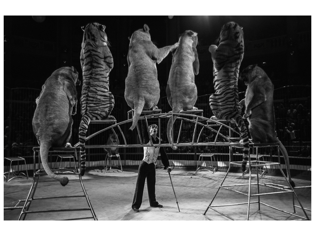 Cage. Misha Domozhilov photographer