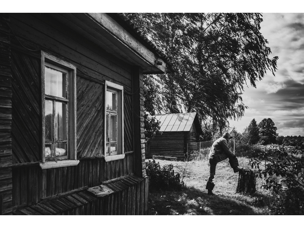 Bird Story. Misha Domozhilov photographer