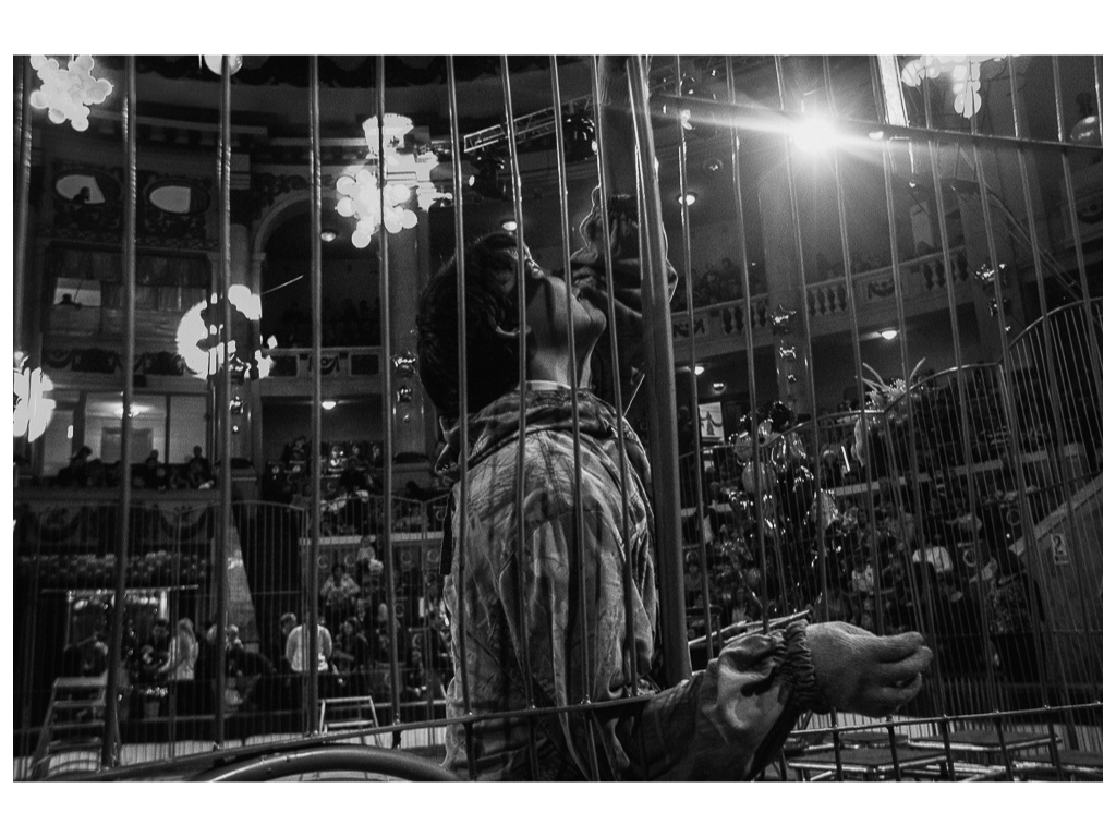 Cage. Misha Domozhilov photographer