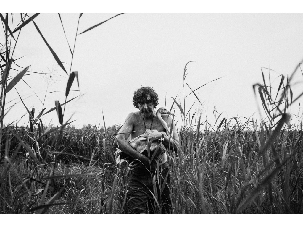 Bird Story. Misha Domozhilov photographer