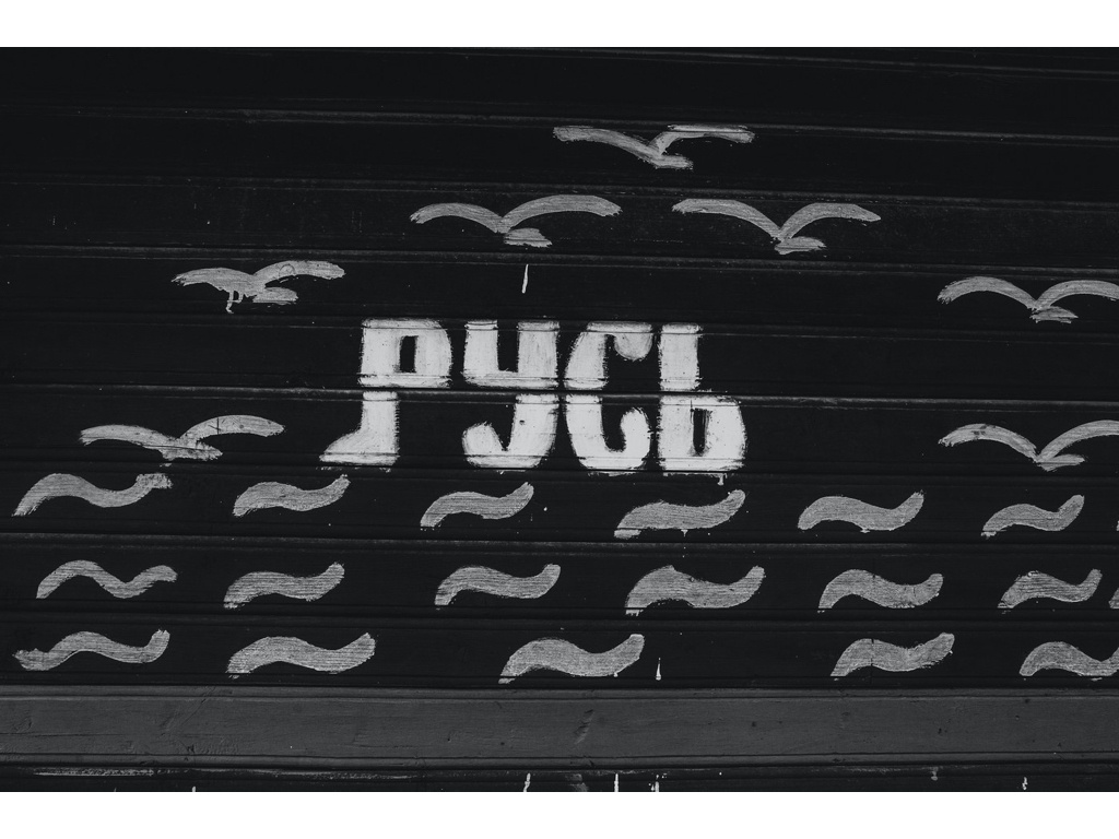 Cremlin Stars. Misha Domozhilov photographer