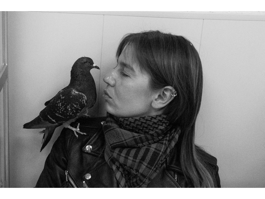 Bird Story. Misha Domozhilov photographer