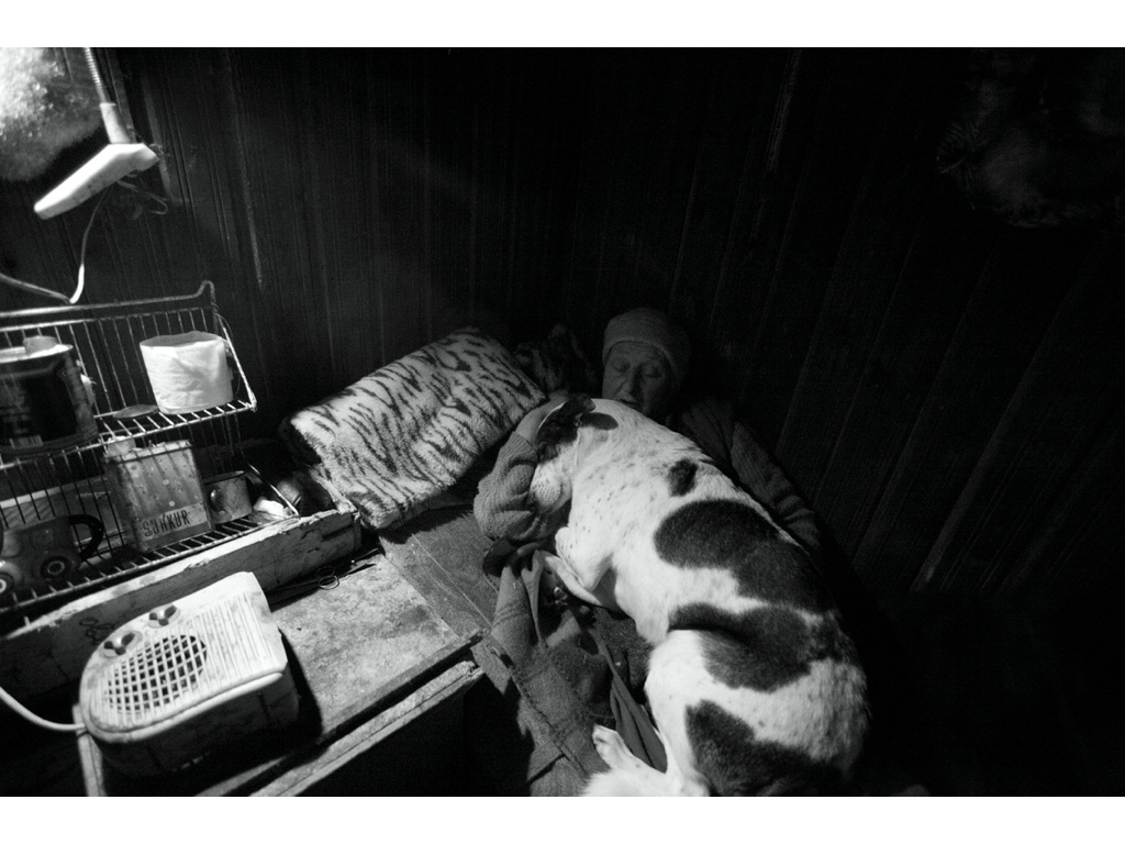 Ark. Misha Domozhilov photographer