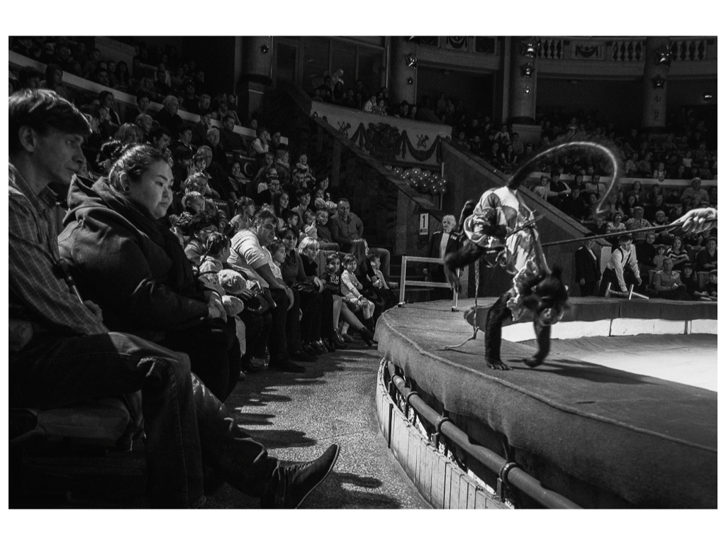 Cage. Misha Domozhilov photographer