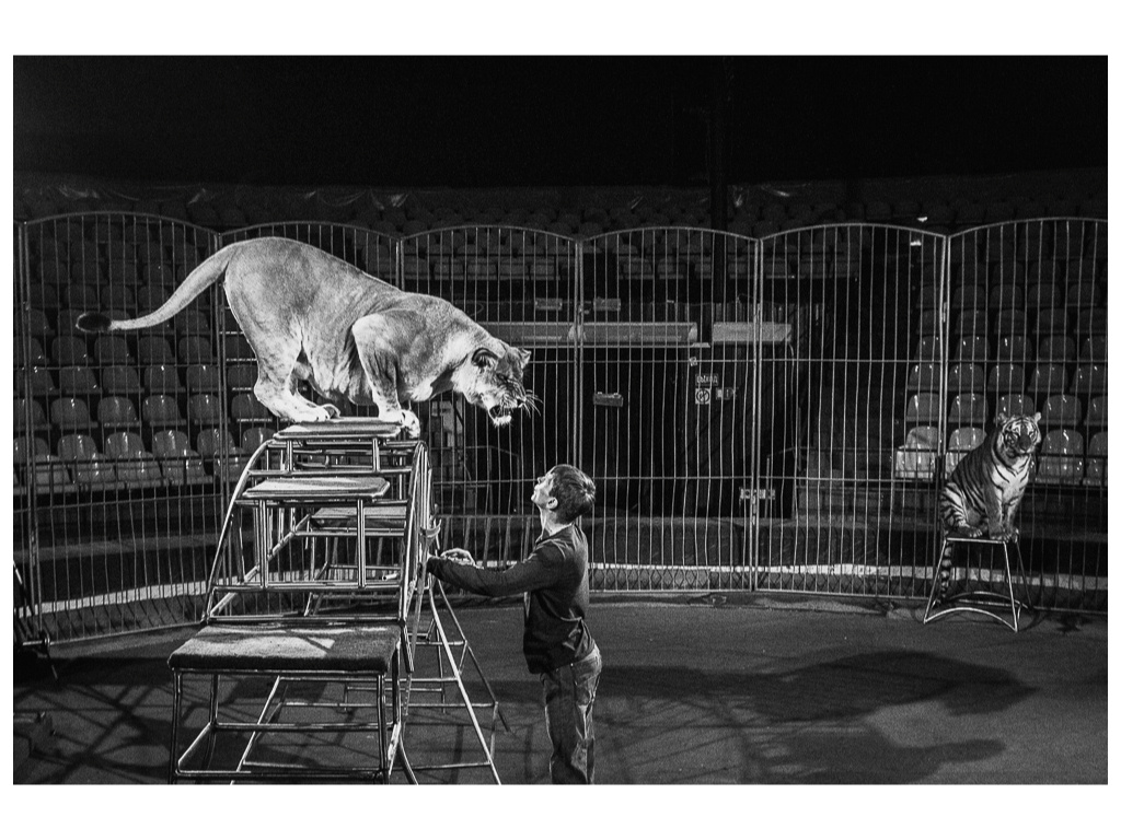 Cage. Misha Domozhilov photographer