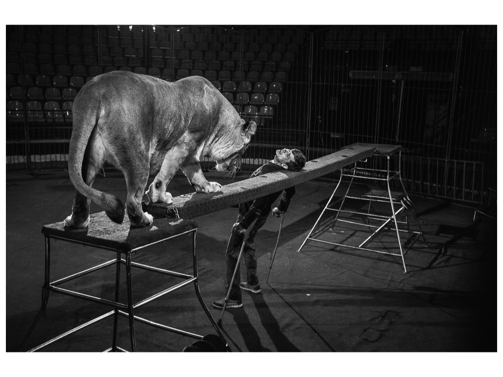 Cage. Misha Domozhilov photographer