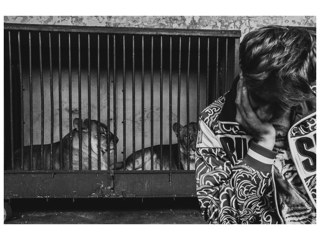 Cage. Misha Domozhilov photographer