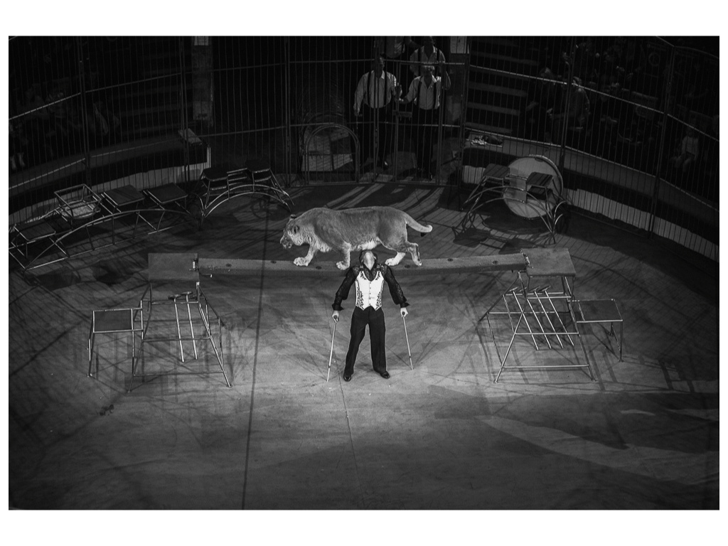 Cage. Misha Domozhilov photographer