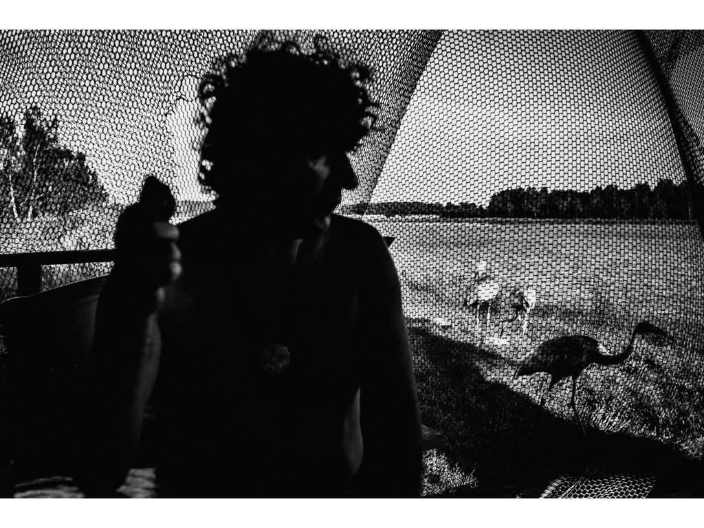 Bird Story. Misha Domozhilov photographer