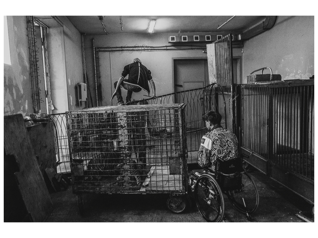 Cage. Misha Domozhilov photographer