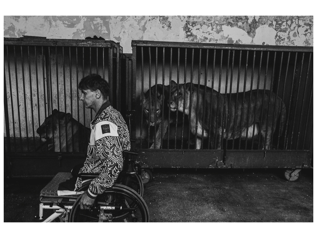 Cage. Misha Domozhilov photographer