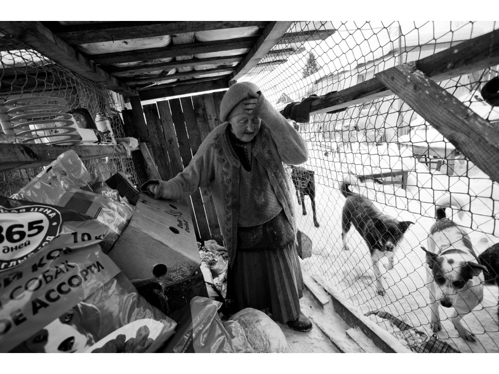 Ark. Misha Domozhilov photographer