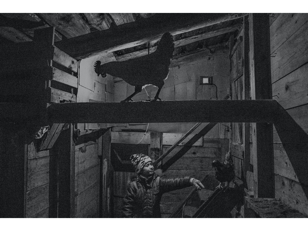 Cremlin Stars. Misha Domozhilov photographer