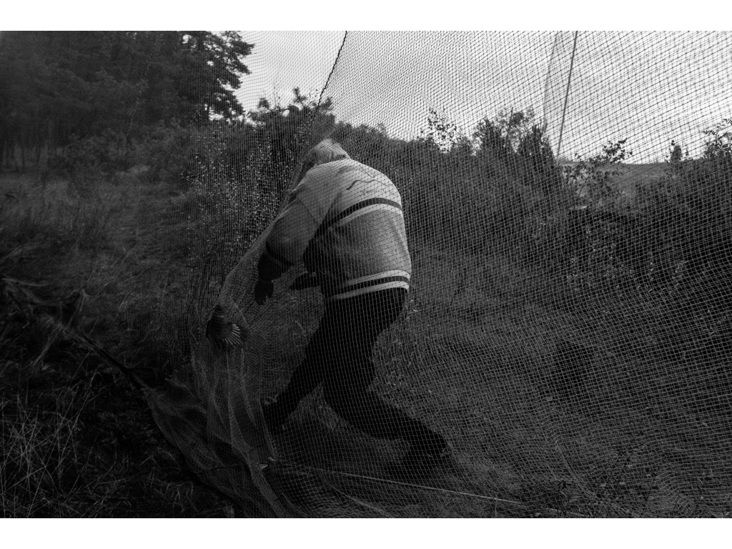 Bird Story. Misha Domozhilov photographer