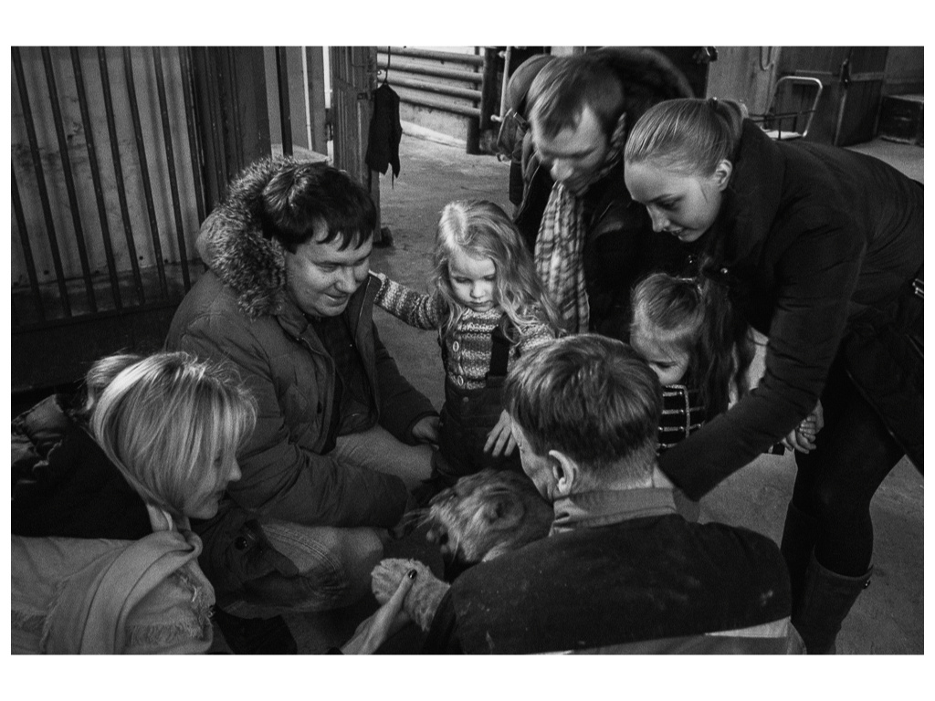 Cage. Misha Domozhilov photographer