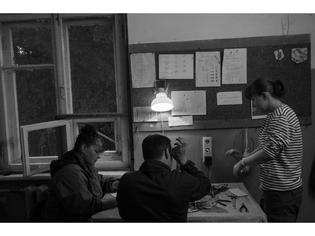 Bird Story. Misha Domozhilov photographer