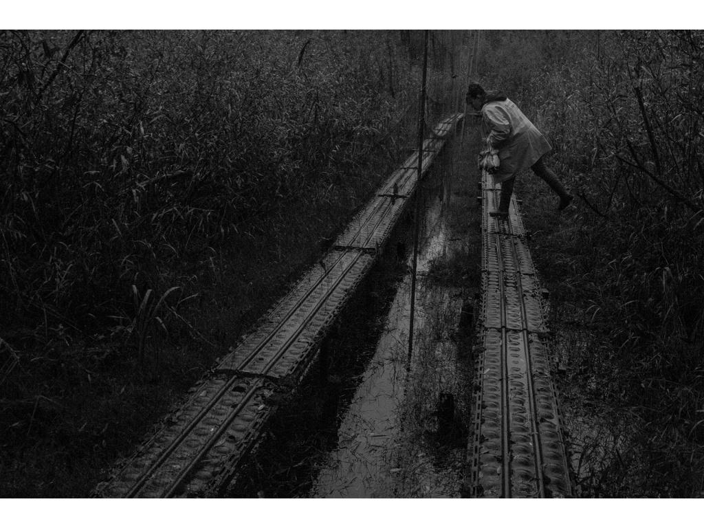 Bird Story. Misha Domozhilov photographer