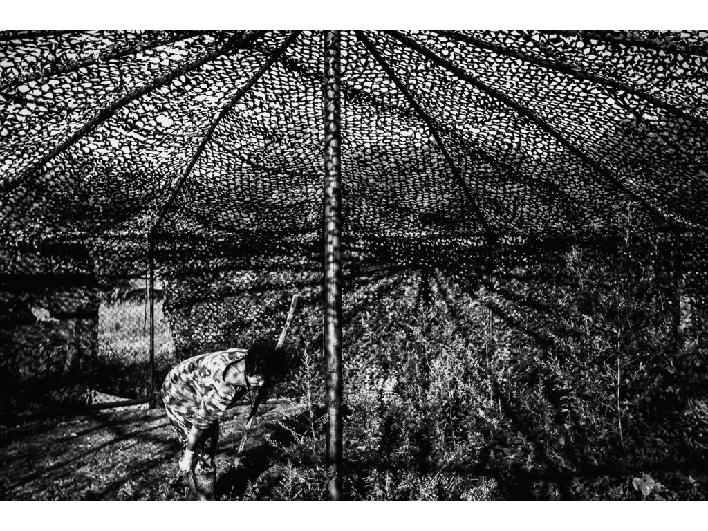 Bird Story. Misha Domozhilov photographer