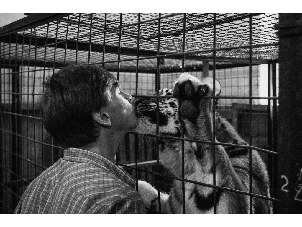 Cage. Misha Domozhilov photographer