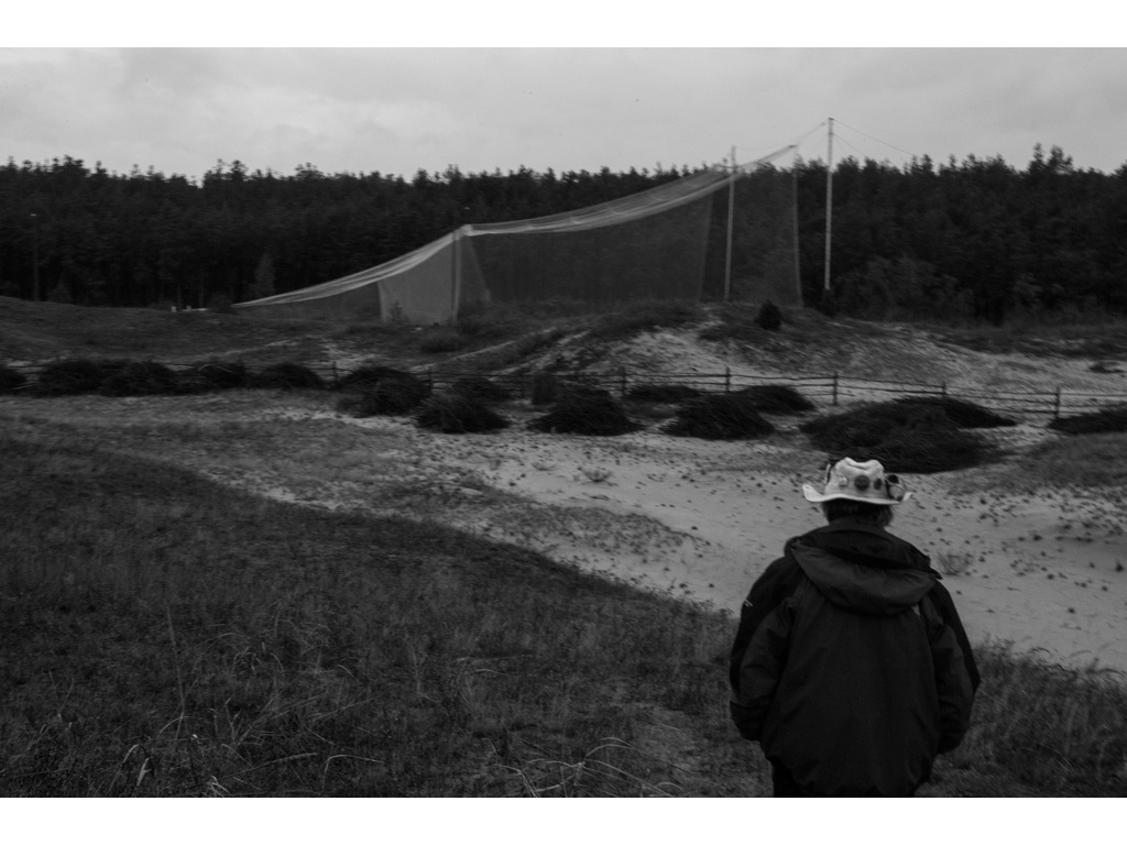 Bird Story. Misha Domozhilov photographer