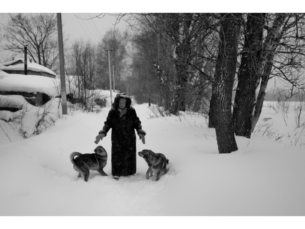 Ark. Misha Domozhilov photographer