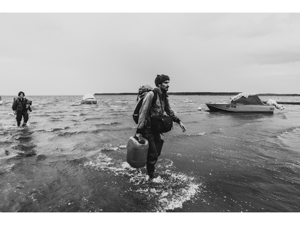 Bird Story. Misha Domozhilov photographer