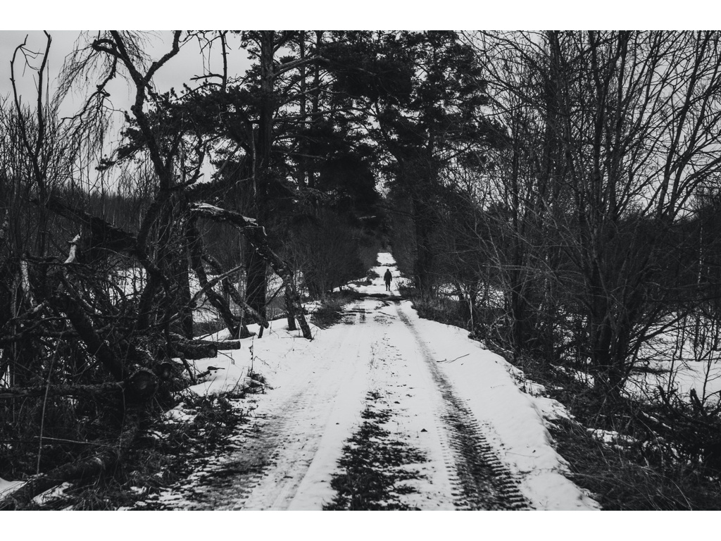 Cremlin Stars. Misha Domozhilov photographer