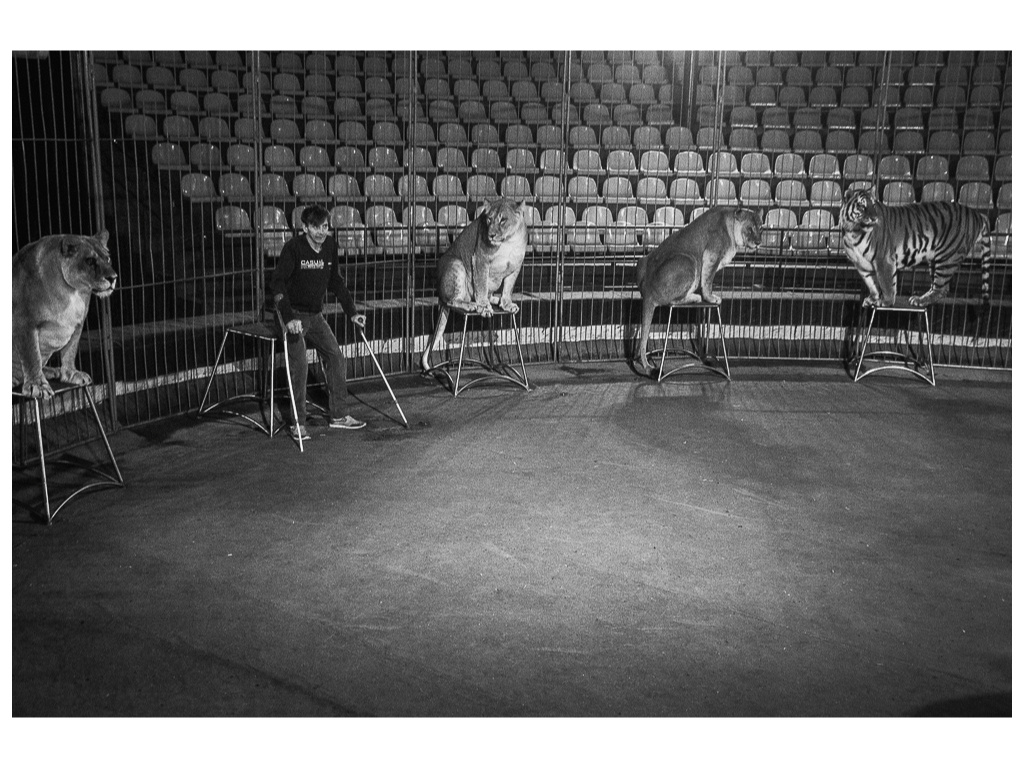 Cage. Misha Domozhilov photographer