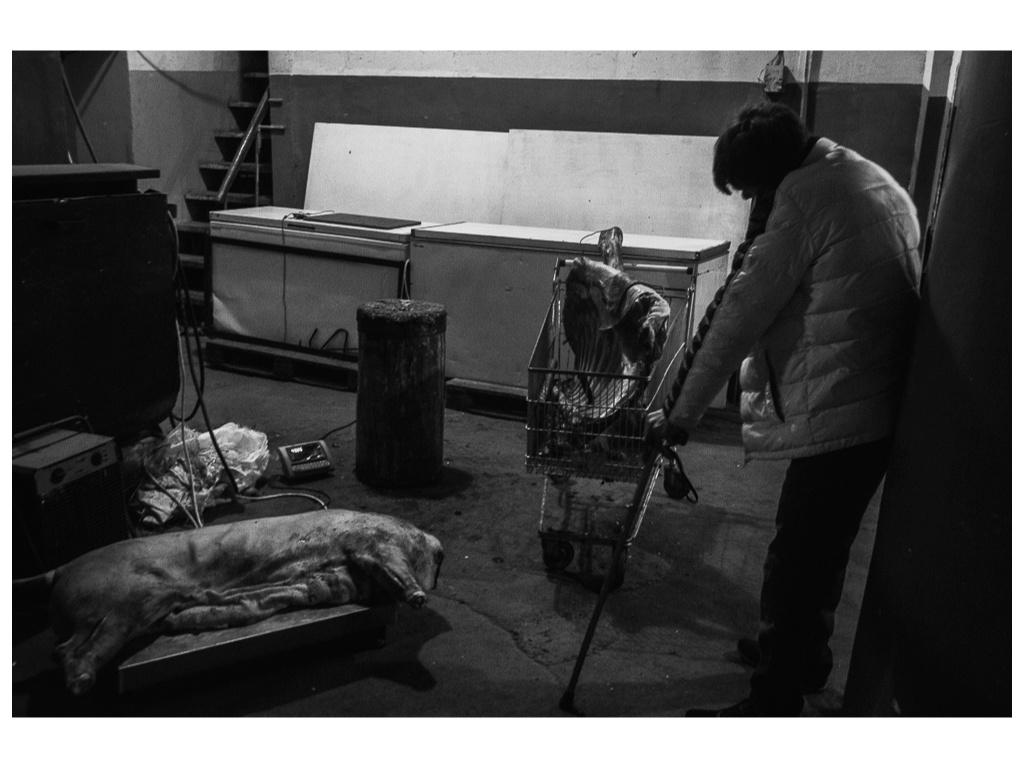 Cage. Misha Domozhilov photographer