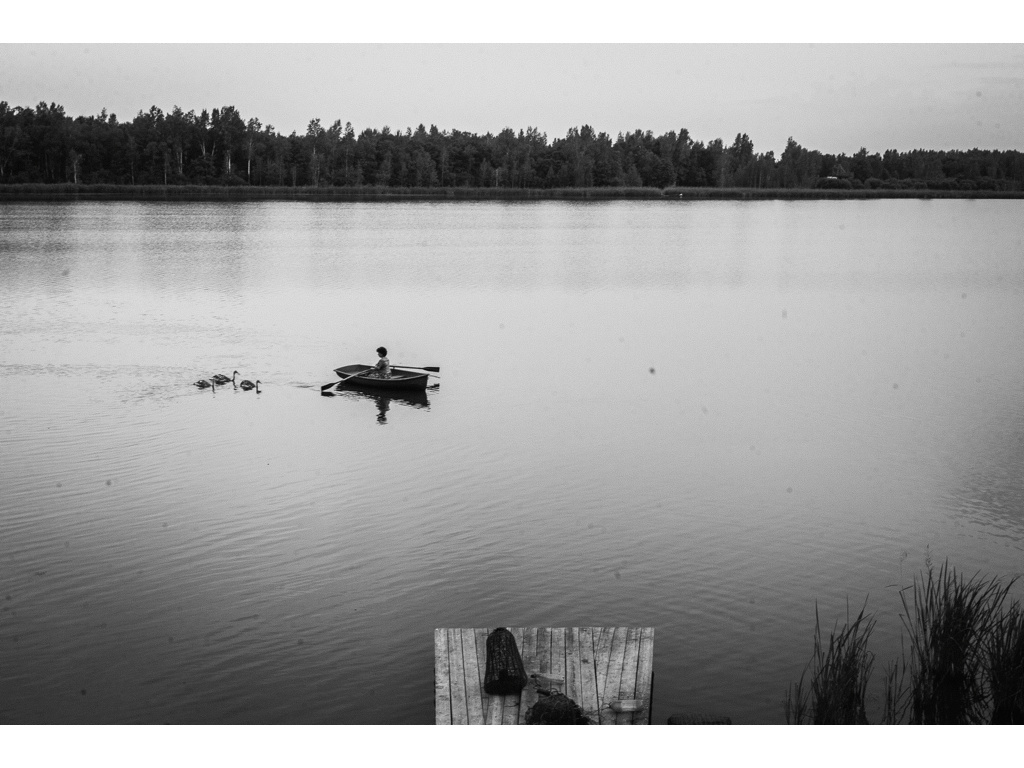 Bird Story. Misha Domozhilov photographer