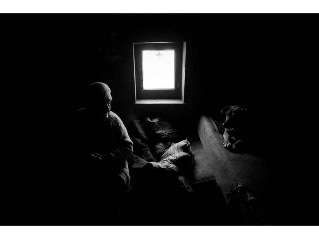 Ark. Misha Domozhilov photographer