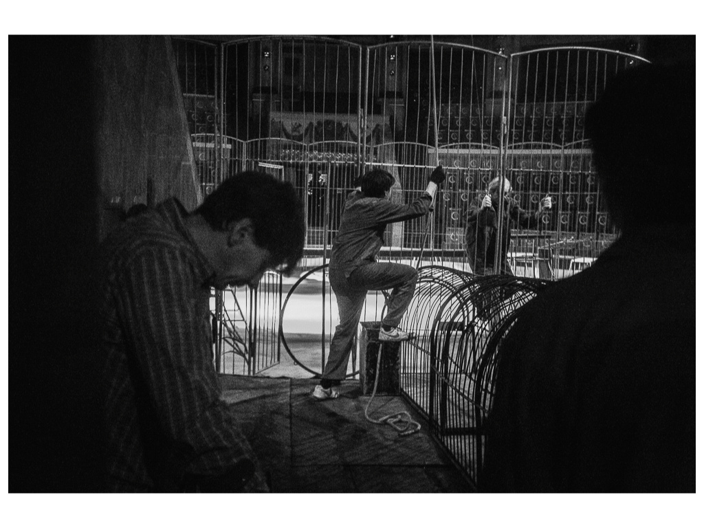 Cage. Misha Domozhilov photographer