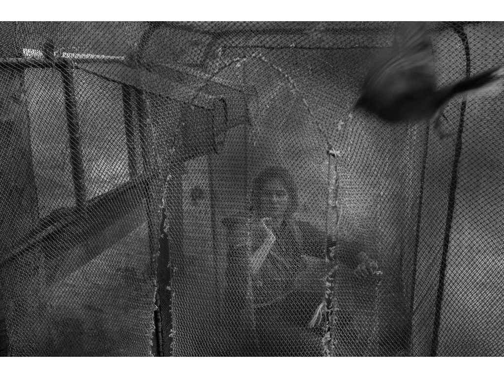 Bird Story. Misha Domozhilov photographer