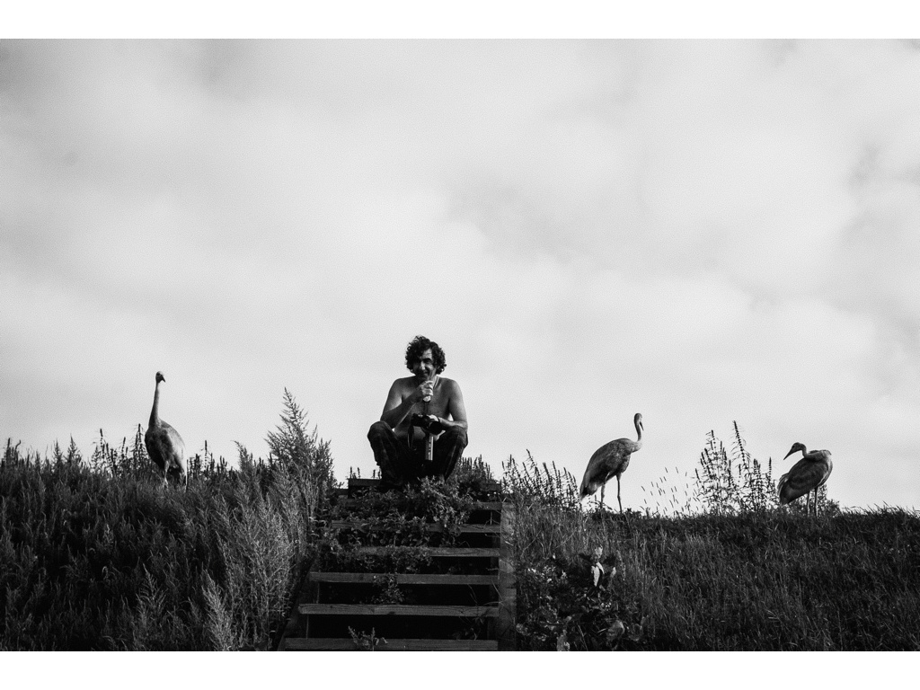 Bird Story. Misha Domozhilov photographer