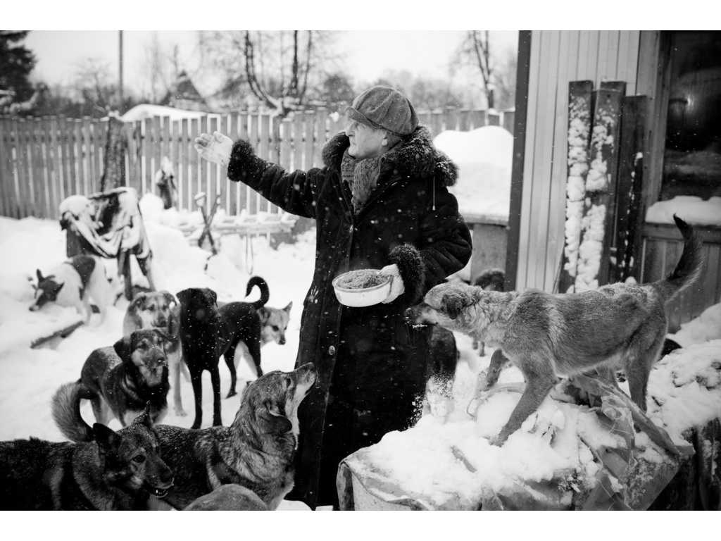 Ark. Misha Domozhilov photographer