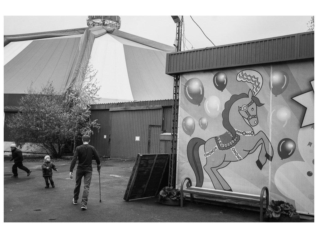 Cage. Misha Domozhilov photographer