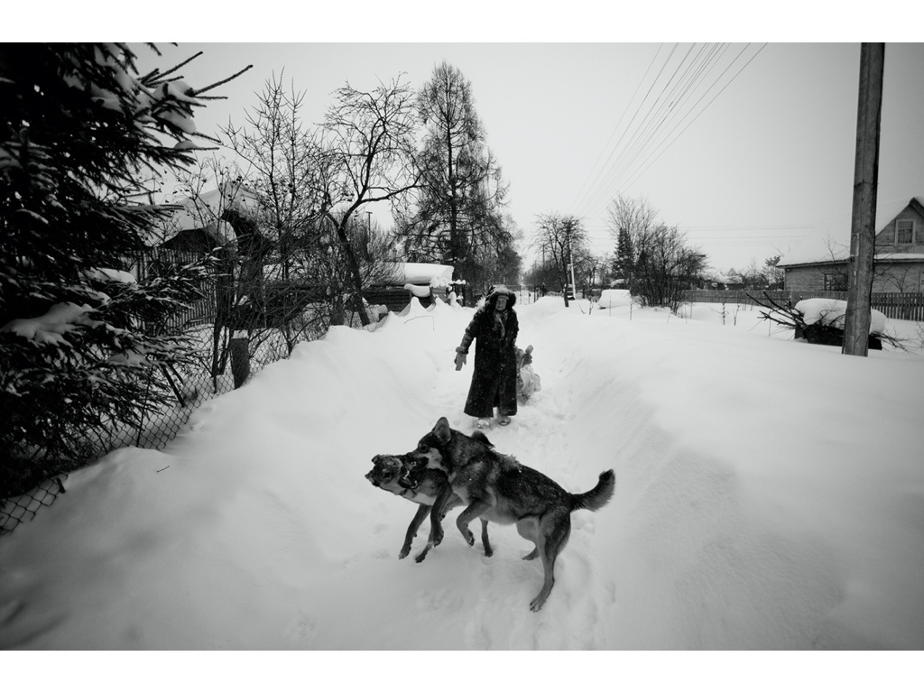 Ark. Misha Domozhilov photographer