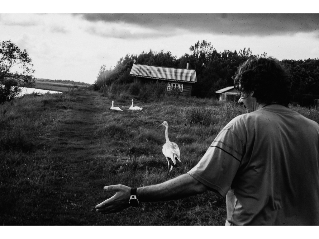 Bird Story. Misha Domozhilov photographer