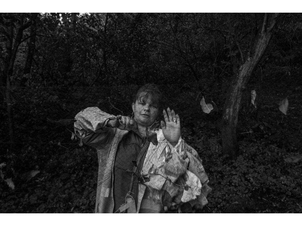 Bird Story. Misha Domozhilov photographer