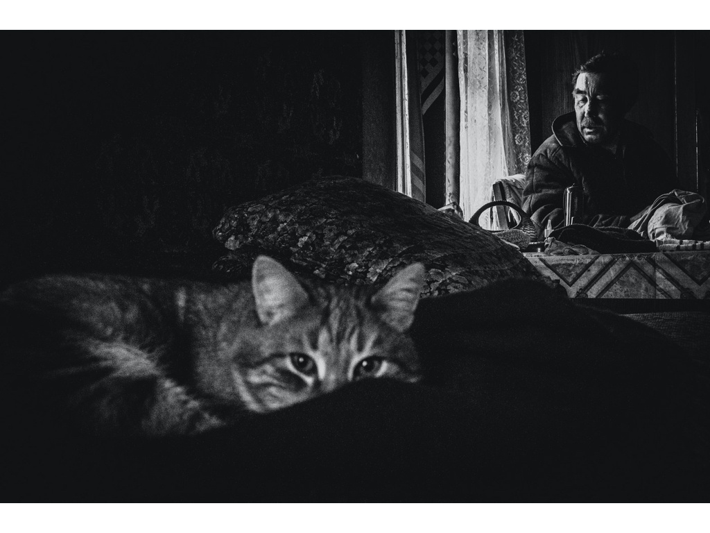 Cremlin Stars. Misha Domozhilov photographer