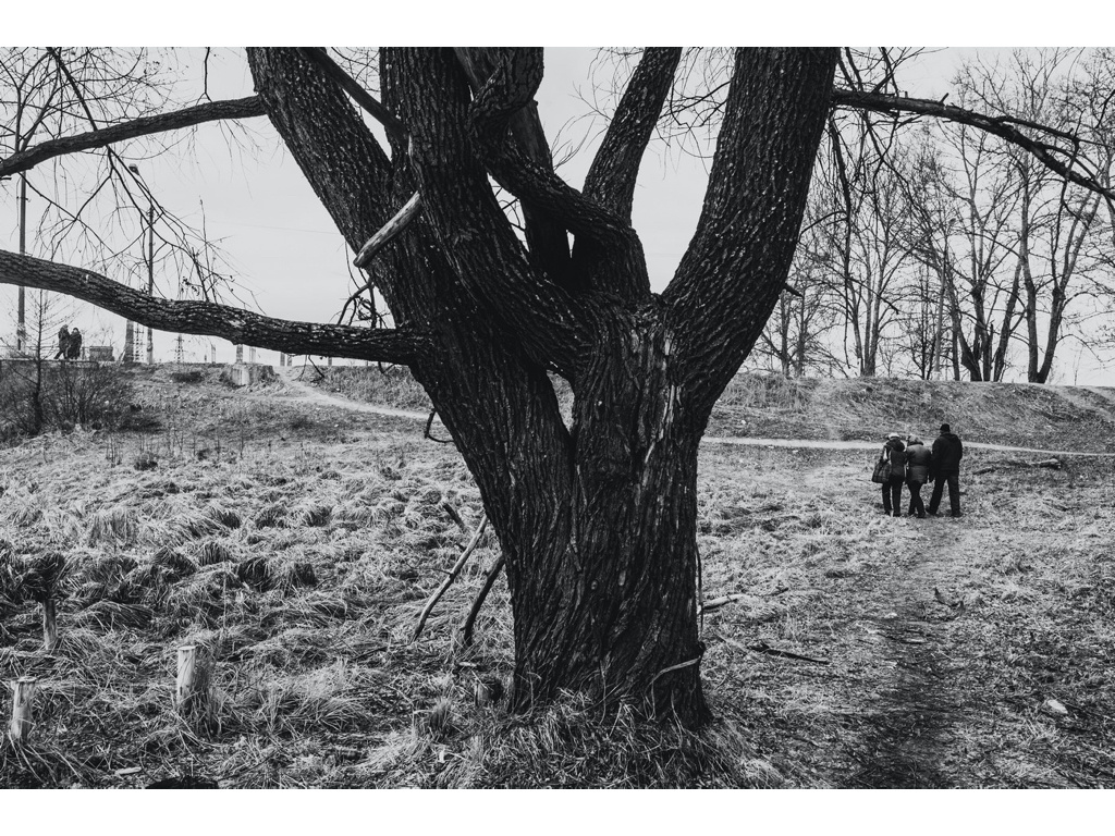 Cremlin Stars. Misha Domozhilov photographer