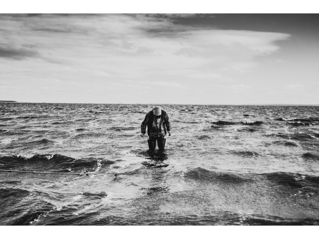 Bird Story. Misha Domozhilov photographer