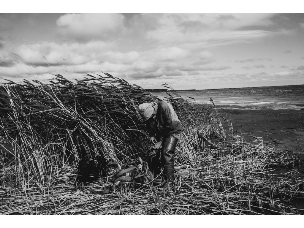 Bird Story. Misha Domozhilov photographer