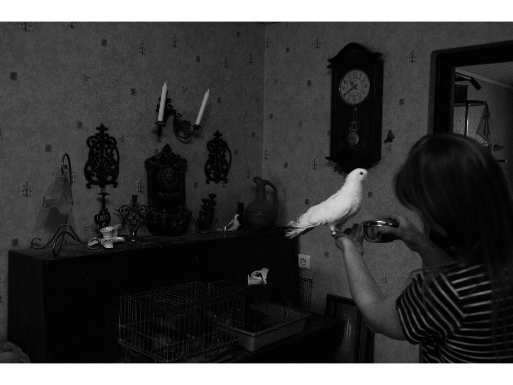 Bird Story. Misha Domozhilov photographer