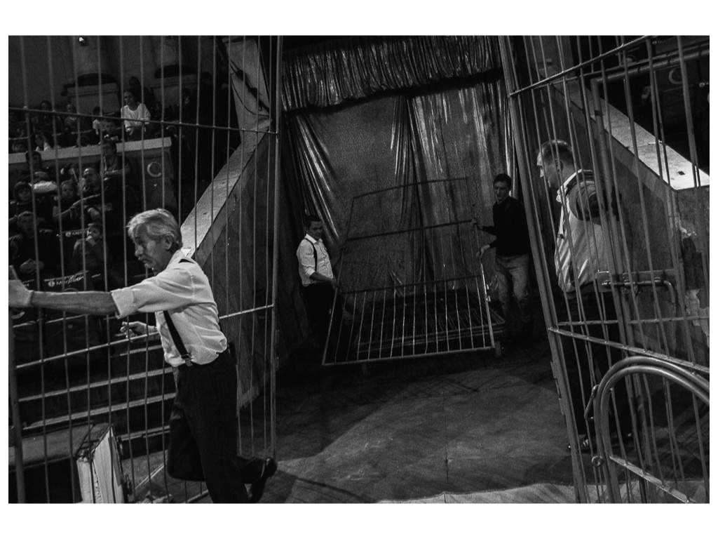 Cage. Misha Domozhilov photographer