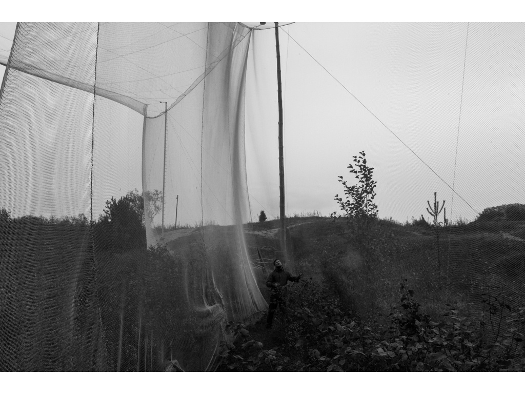 Bird Story. Misha Domozhilov photographer