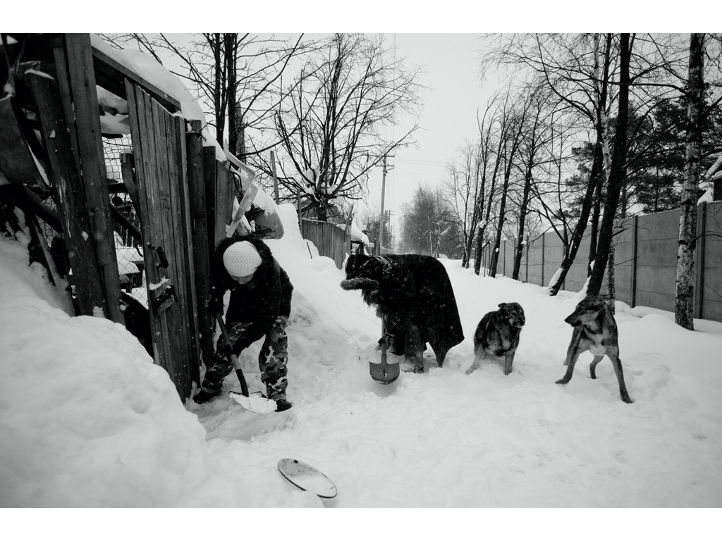 Ark. Misha Domozhilov photographer