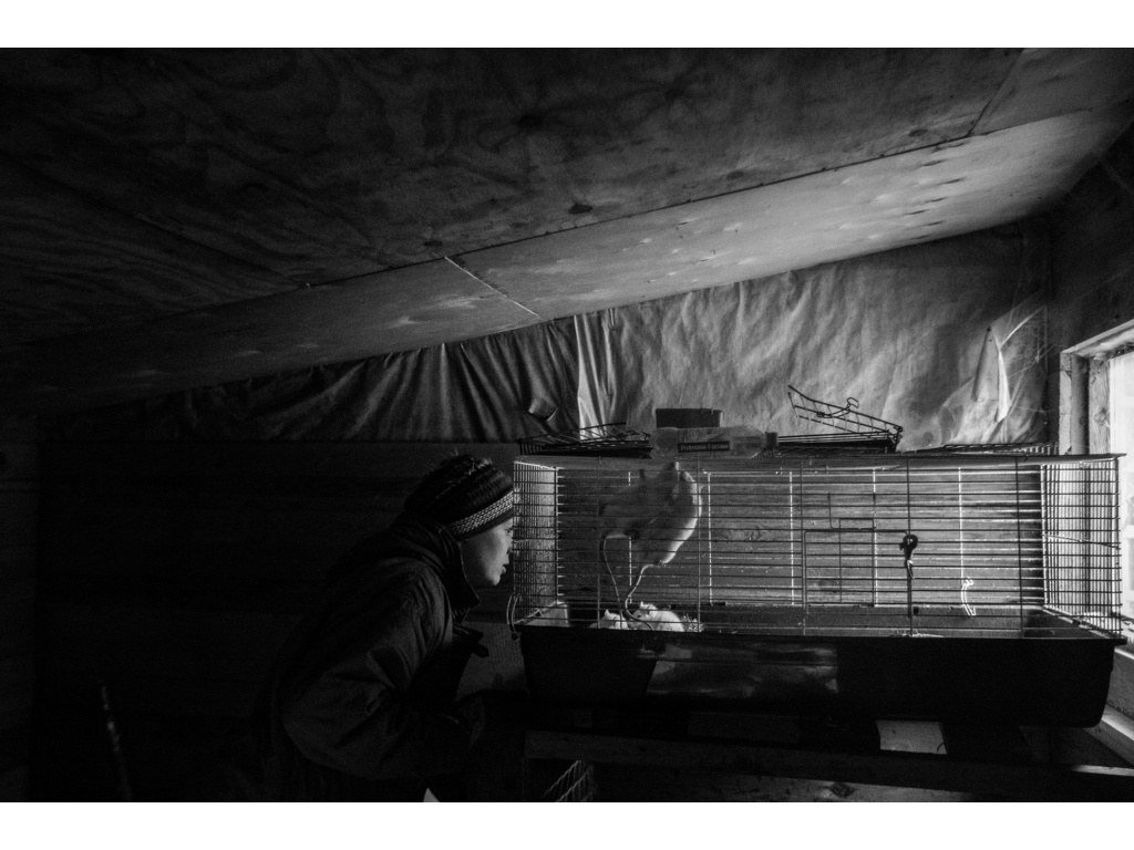 Bird Story. Misha Domozhilov photographer