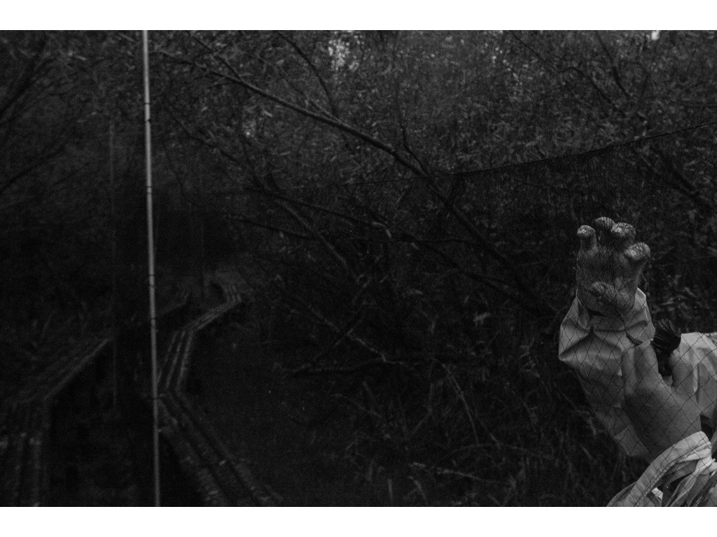 Bird Story. Misha Domozhilov photographer