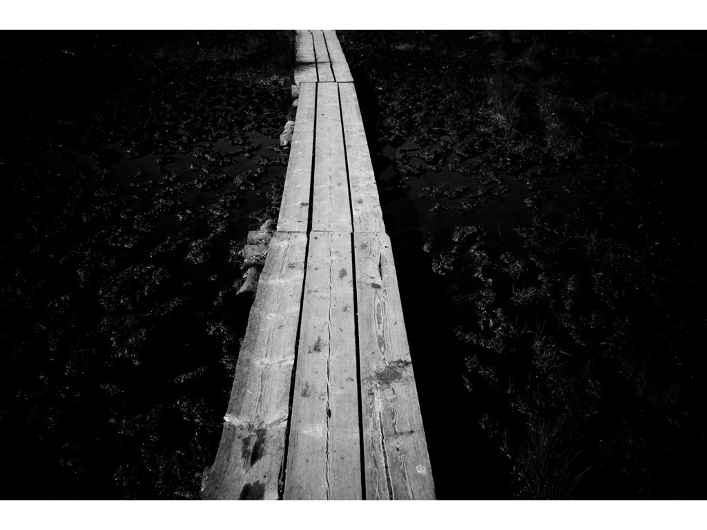 Swamp Football. Misha Domozhilov photographer
